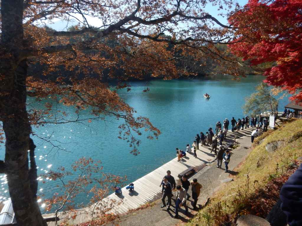 f:id:sujiniku5150:20161128190834j:plain f:id:sujiniku5150:20161128190834j:plain