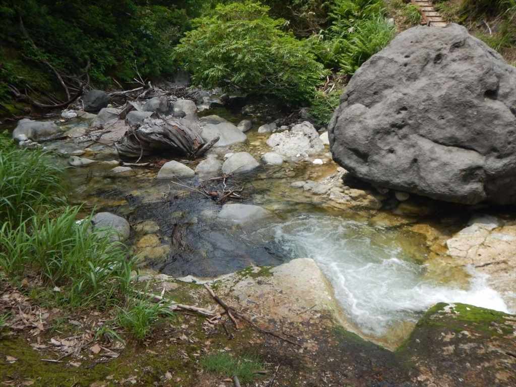 f:id:sujiniku5150:20170724224635j:plain f:id:sujiniku5150:20170724224635j:plain