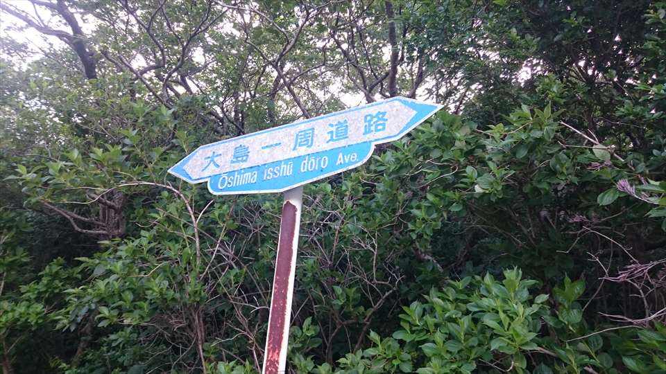 f:id:sujiniku5150:20180521212351j:plain f:id:sujiniku5150:20180521212351j:plain