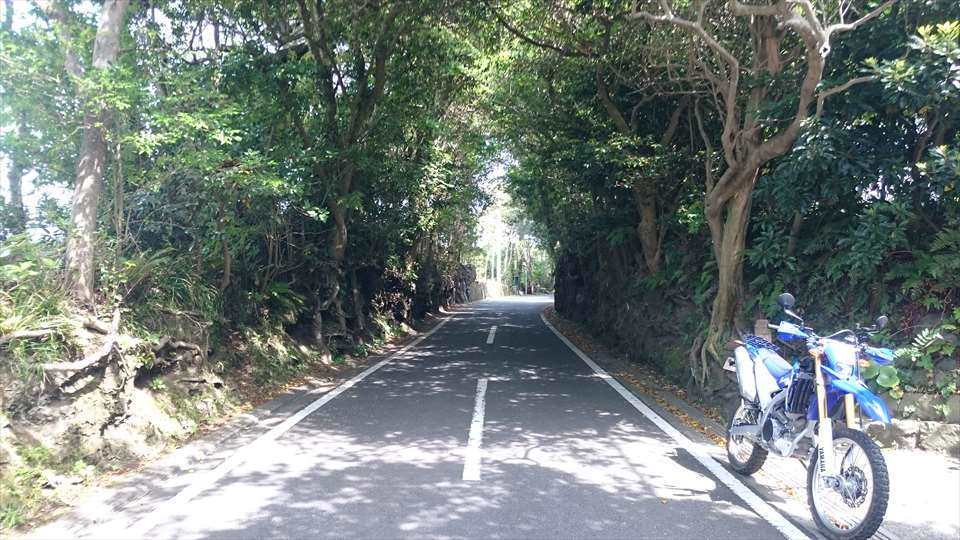 f:id:sujiniku5150:20180521215904j:plain f:id:sujiniku5150:20180521215904j:plain
