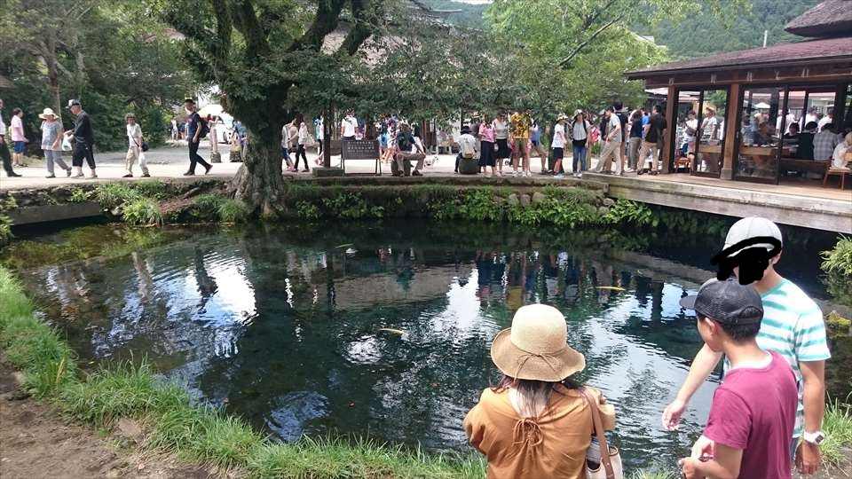 f:id:sujiniku5150:20180821201602j:plain f:id:sujiniku5150:20180821201602j:plain